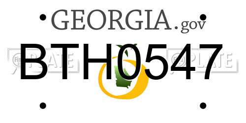 BTH0547 Georgia License Plate