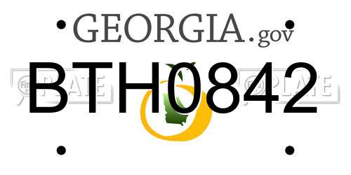 BTH0842 Georgia License Plate