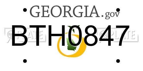 BTH0847 Georgia License Plate