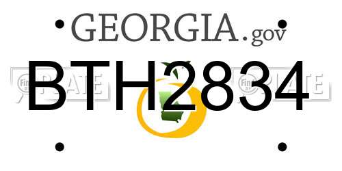 BTH2834 Georgia License Plate