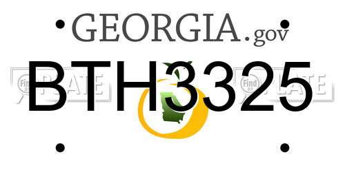 BTH3325 Georgia License Plate