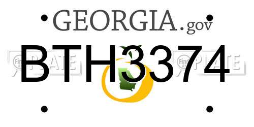 BTH3374 Georgia License Plate