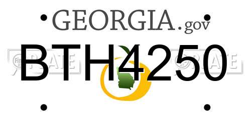 BTH4250 Georgia License Plate