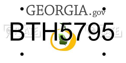 BTH5795 Georgia License Plate