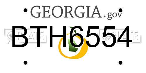 BTH6554 Georgia License Plate