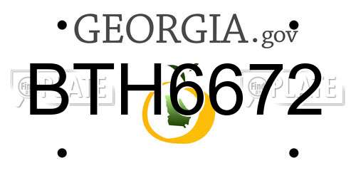 BTH6672 Georgia License Plate