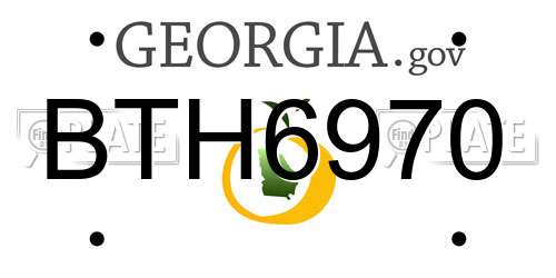 BTH6970 Georgia License Plate