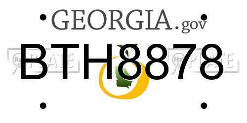 BTH8878 Georgia License Plate
