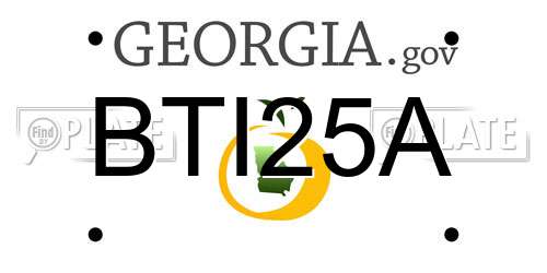 BTI25A Georgia License Plate