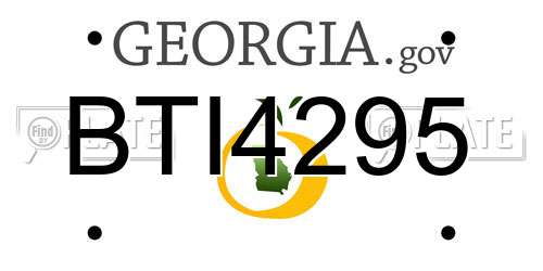 BTI4295 Georgia License Plate