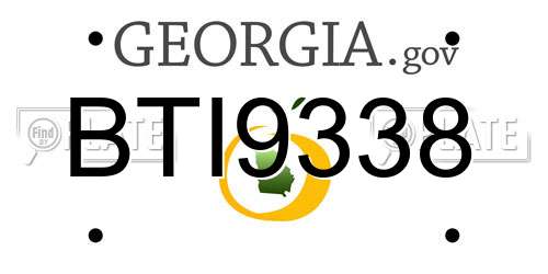 BTI9338 Georgia License Plate