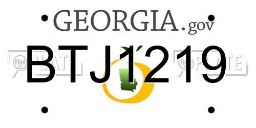BTJ1219 Georgia License Plate