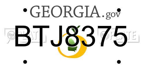 BTJ8375 Georgia License Plate