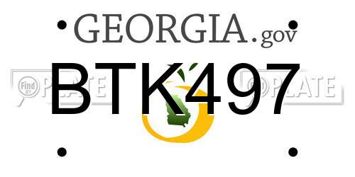 BTK497 Georgia License Plate