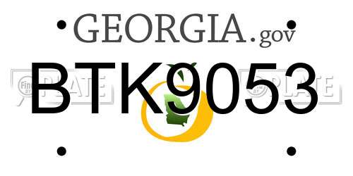 BTK9053 Georgia License Plate