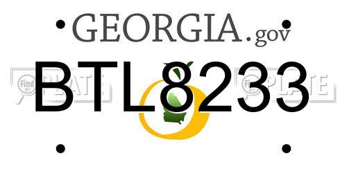 BTL8233 Georgia License Plate