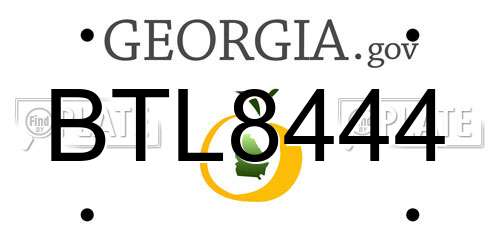 BTL8444 Georgia License Plate