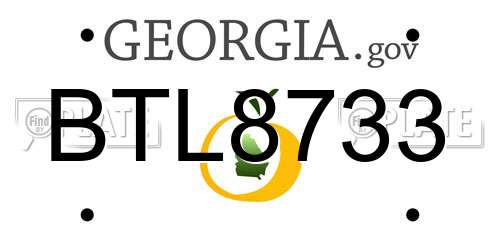 BTL8733 Georgia License Plate