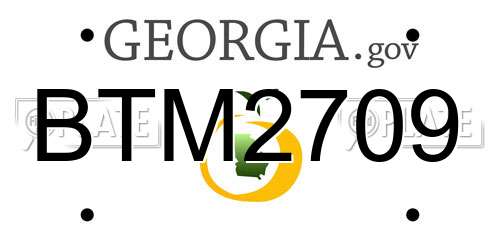 BTM2709 Georgia License Plate