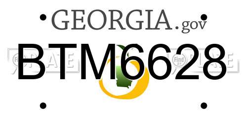 BTM6628 Georgia License Plate