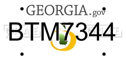 BTM7344 Georgia License Plate
