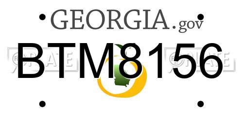 BTM8156 Georgia License Plate