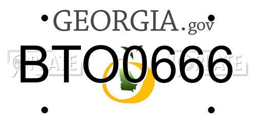 BTO0666 Georgia License Plate