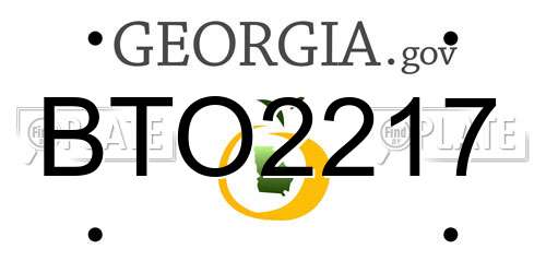 BTO2217 Georgia License Plate