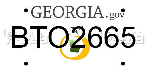 BTO2665 Georgia License Plate