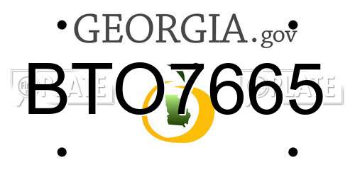 BTO7665 Georgia License Plate