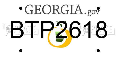 BTP2618 Georgia License Plate