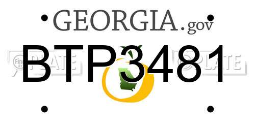 BTP3481 Georgia License Plate