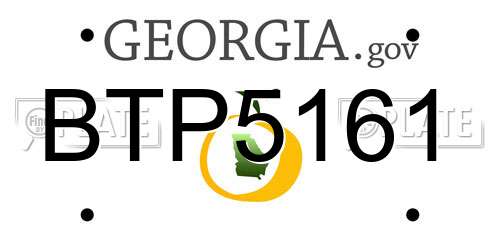 BTP5161 Georgia License Plate