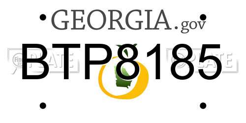 BTP8185 Georgia License Plate