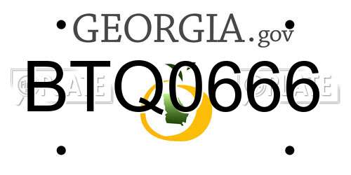 BTQ0666 Georgia License Plate