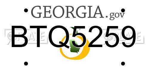 BTQ5259 Georgia License Plate