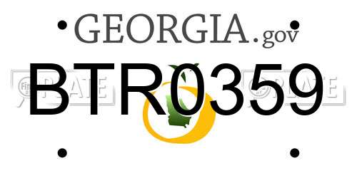 BTR0359 Georgia License Plate