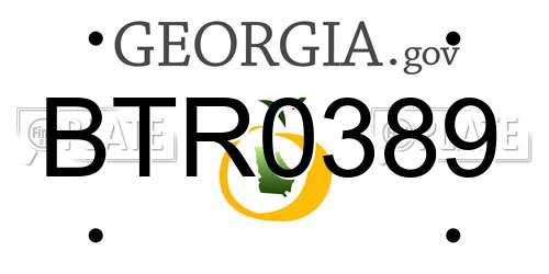 BTR0389 Georgia License Plate