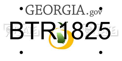 BTR1825 Georgia License Plate