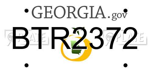 BTR2372 Georgia License Plate