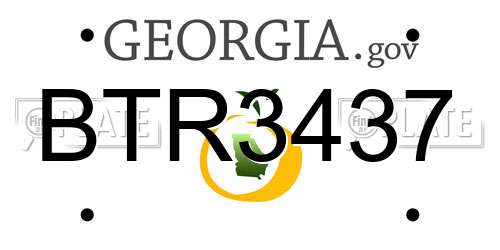 BTR3437 Georgia License Plate