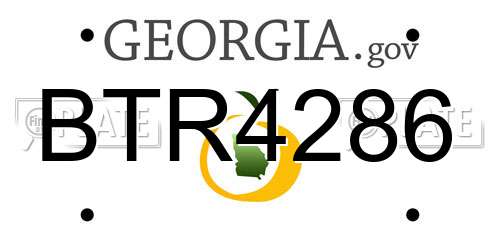 BTR4286 Georgia License Plate