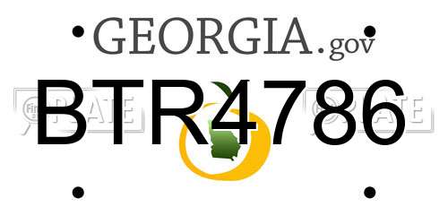 BTR4786 Georgia License Plate