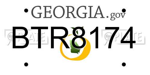 BTR8174 Georgia License Plate