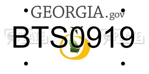 BTS0919 Georgia License Plate