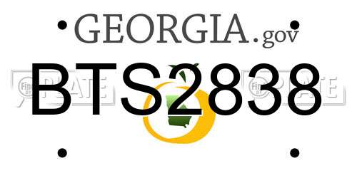 BTS2838 Georgia License Plate