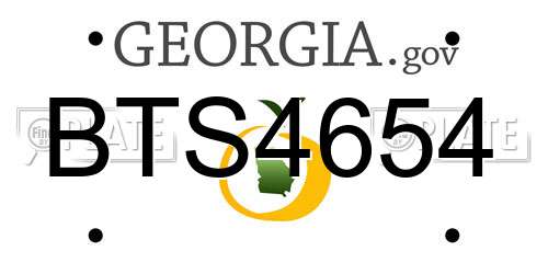 BTS4654 Georgia License Plate
