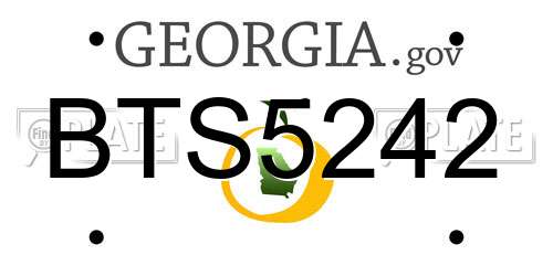 BTS5242 Georgia License Plate