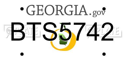BTS5742 Georgia License Plate