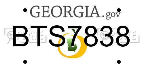 BTS7838 Georgia License Plate